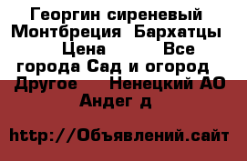Георгин сиреневый. Монтбреция. Бархатцы.  › Цена ­ 100 - Все города Сад и огород » Другое   . Ненецкий АО,Андег д.